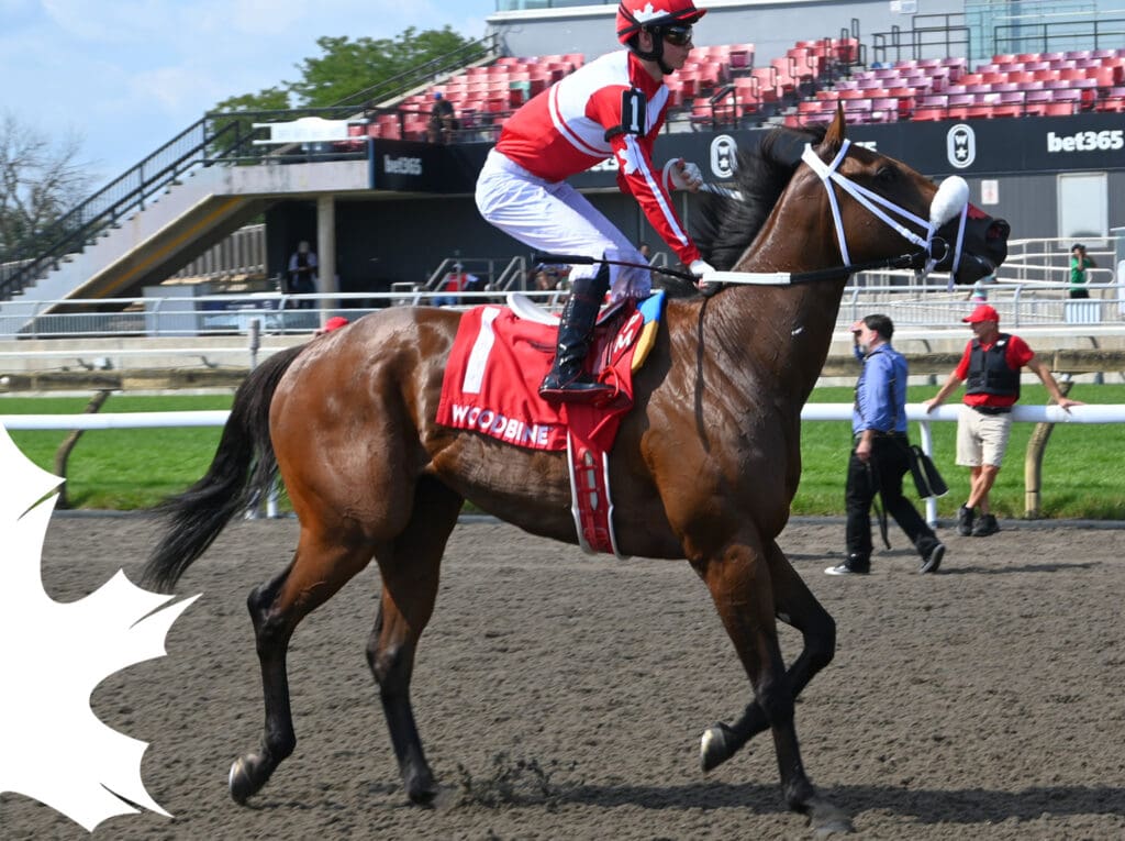 Racing Stable - Canuck Racing Club