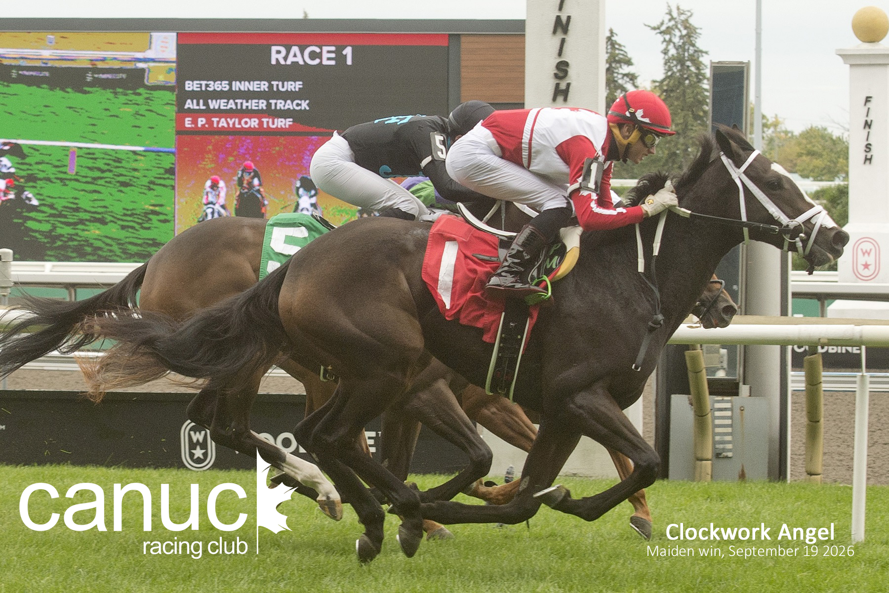 Clockwork Angel Breaks Maiden in Three-Way Thriller - Canuck Racing Club